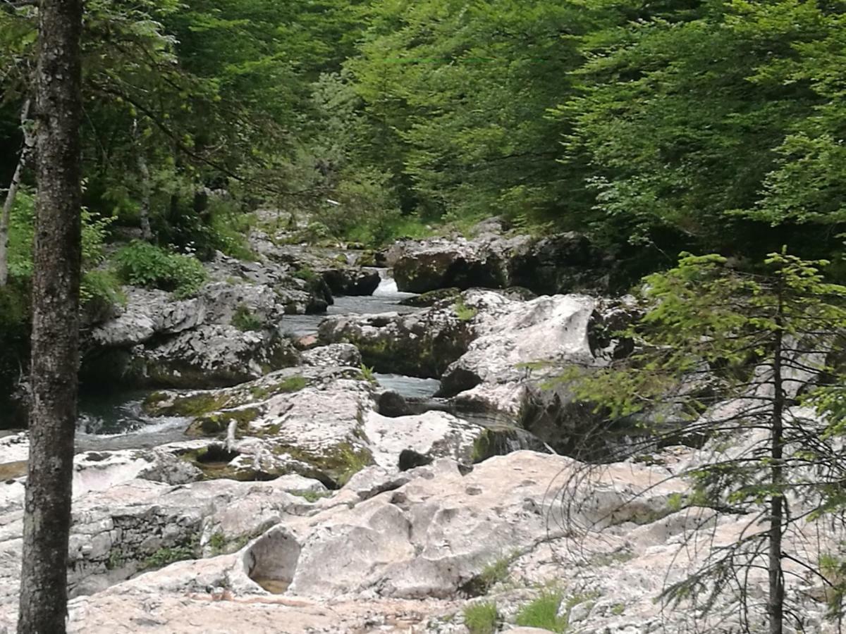 2 Studio & Apartment Cvetek Bohinji-tó Kültér fotó